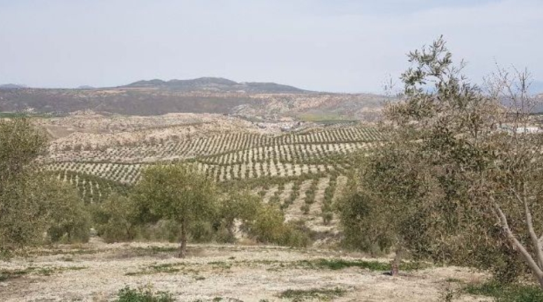 Salamanca - La Alamedilla - 206m2