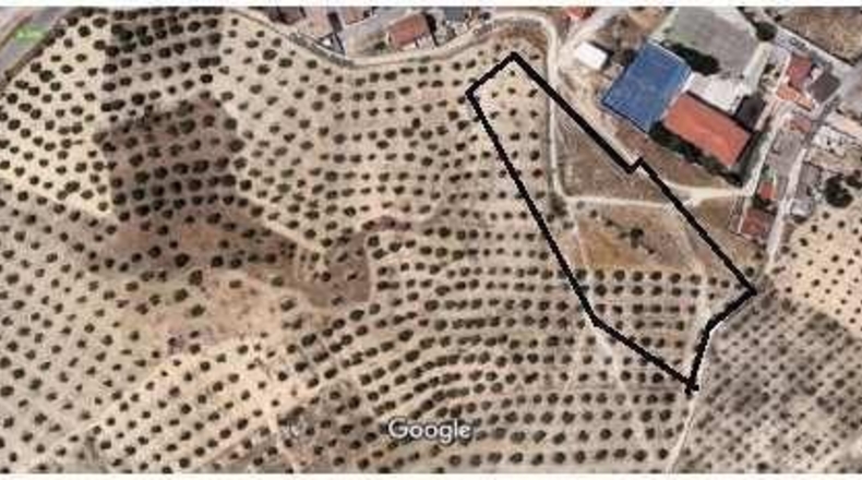 Granada - La Malahá - 30000m2