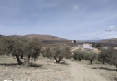 Parcela urbanizable en venta en la España, La Malahá, ref: TR98121 foto