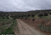 Parcela urbanizable en venta en la España, La Malahá, ref: TR98121 foto