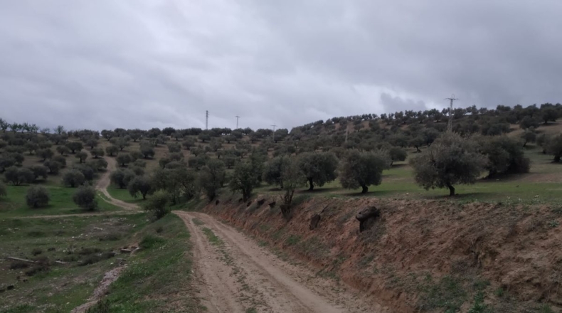 Granada - La Malahá - 30000m2