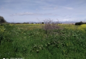 Parcela urbanizable en venta en la España, Ogíjares, ref: TR98123 foto
