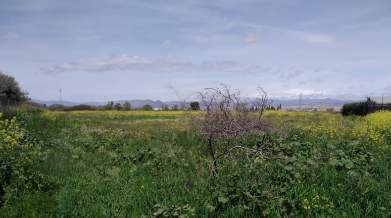 Granada - Ogíjares - 5400m2