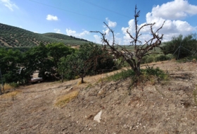 Alcalá la Real 850&nbsp;m² 