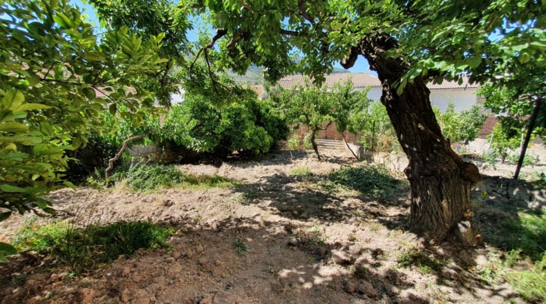 Jaén - Castillo de Locubín - 186m2