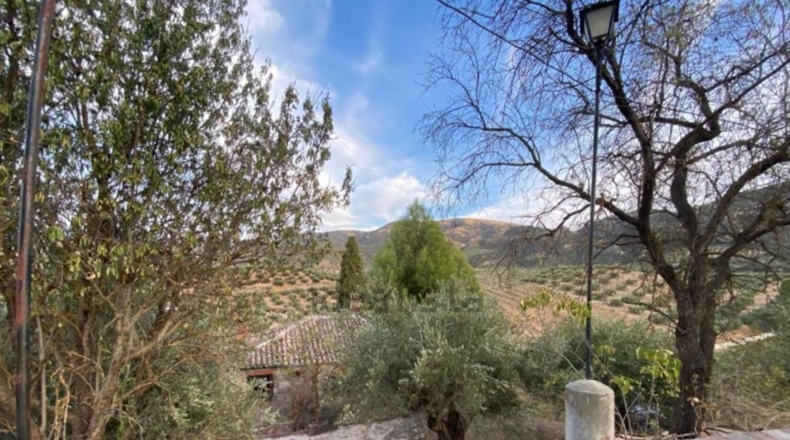Córdoba - Priego de Córdoba - 90000m2