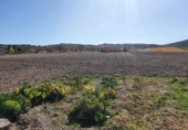 Non-developable land for sale in Alcalá la Real ref: TR48844 photo