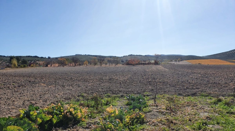 Jaén - Alcalá la Real - 25000m2