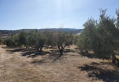 Non-developable land for sale in Alcalá la Real ref: TR48844 photo