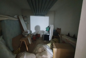 Foto 19