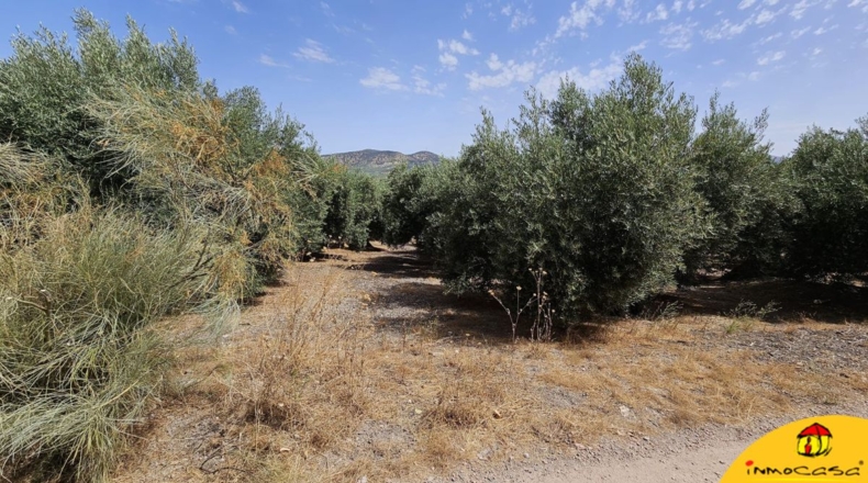 Jaén - Alcalá la Real - 5200m2
