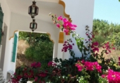Finca rústica en venda a Vejer de la Frontera ref.: TR29846 foto