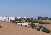 Finca rústica en venda a Vejer de la Frontera ref.: TR29846 foto