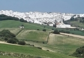 Finca rústica en venda a Vejer de la Frontera ref.: TR29846 foto