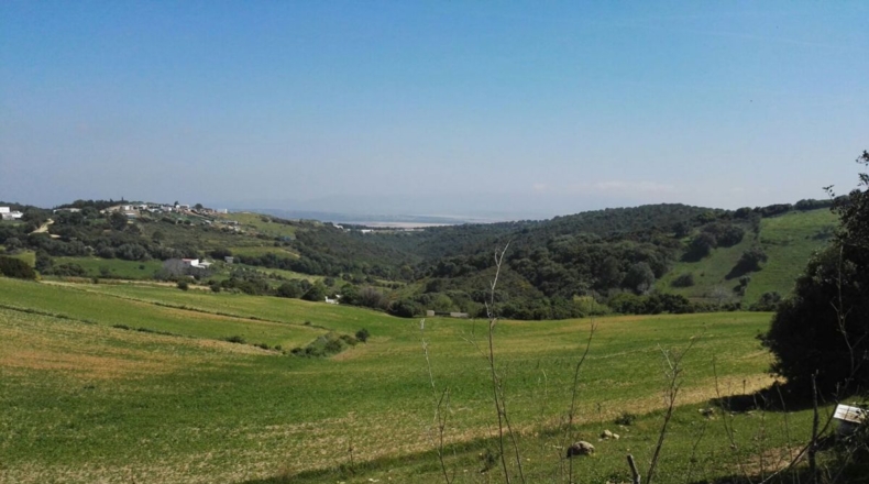 Cádiz - Vejer de la Frontera - 58841m2