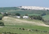 Finca rústica en venda a Vejer de la Frontera ref.: TR29846 foto