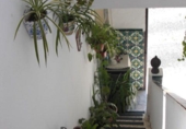 Casa de poble en venda a Vejer de la Frontera ref.: TR40715 foto
