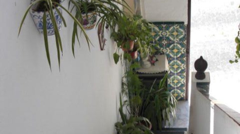 Cádiz - Vejer de la Frontera - 183m2