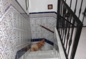Дом с участком на продажу в городе Vejer de la Frontera. Фото