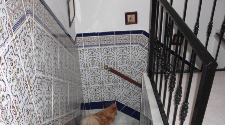Cádiz - Vejer de la Frontera - 180m2