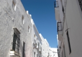 Дом с участком на продажу в городе Vejer de la Frontera. Фото