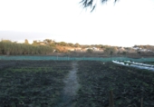 Finca rústica en venda a Vejer de la Frontera ref.: TR29843 foto