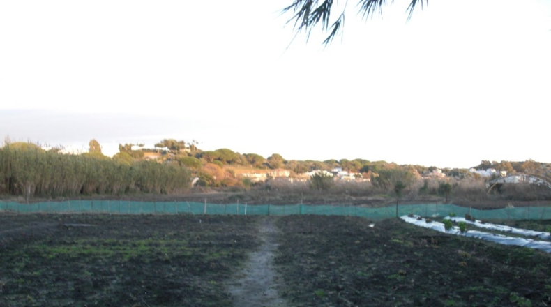 Cádiz - Vejer de la Frontera - 21011m2