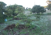 Finca rústica en venda a Vejer de la Frontera ref.: TR29843 foto