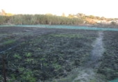 Finca rústica en venda a Vejer de la Frontera ref.: TR29843 foto