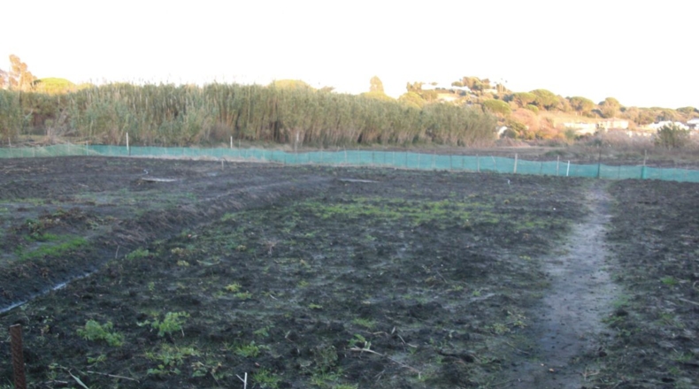 Cádiz - Vejer de la Frontera - 21011m2