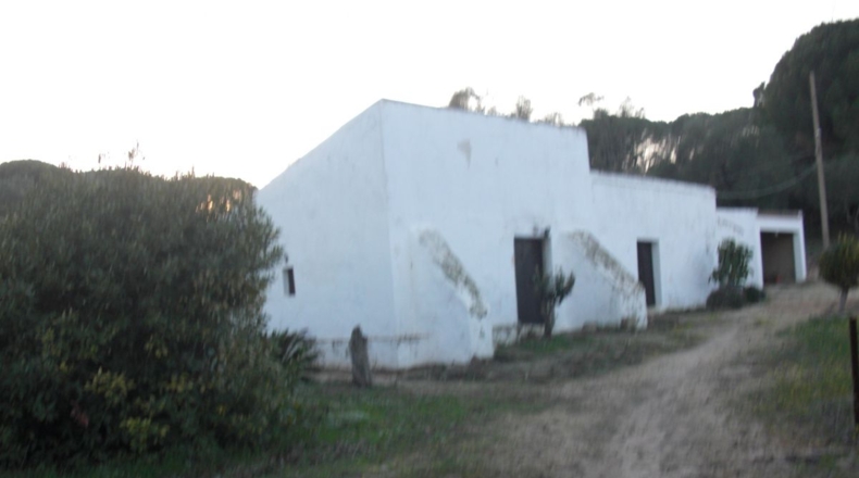 Cádiz - Vejer de la Frontera - 21011m2