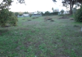 Finca rústica en venda a Vejer de la Frontera ref.: TR29843 foto