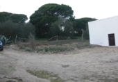 Finca rústica en venda a Vejer de la Frontera ref.: TR29843 foto
