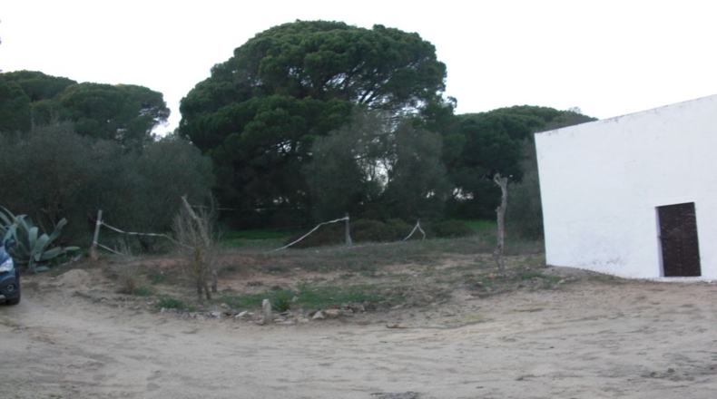 Cádiz - Vejer de la Frontera - 21011m2
