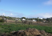 Finca rústica en venda a Vejer de la Frontera ref.: TR37152 foto