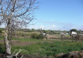 Finca rústica en venda a Vejer de la Frontera ref.: TR37152 foto