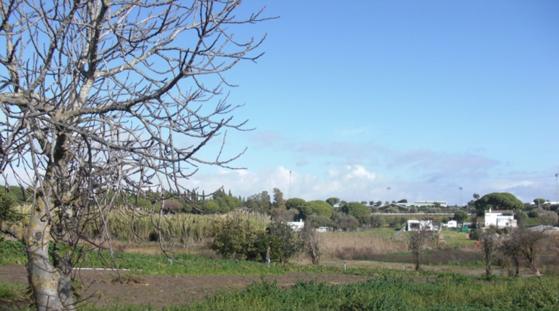 Cádiz - Vejer de la Frontera - 10000m2