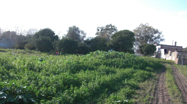 Cádiz - Vejer de la Frontera - 10000m2