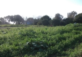 Finca rústica en venda a Vejer de la Frontera ref.: TR37152 foto