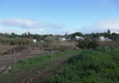 Finca rústica en venda a Vejer de la Frontera ref.: TR37152 foto