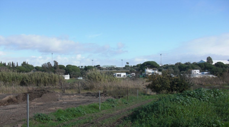 Cádiz - Vejer de la Frontera - 10000m2