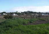 Finca rústica en venda a Vejer de la Frontera ref.: TR37152 foto