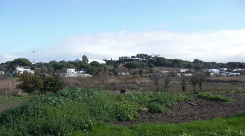 Cádiz - Vejer de la Frontera - 10000m2
