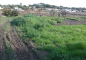 Finca rústica en venda a Vejer de la Frontera ref.: TR37152 foto