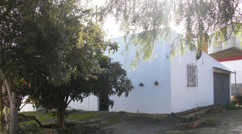 Cádiz - Vejer de la Frontera - 10000m2
