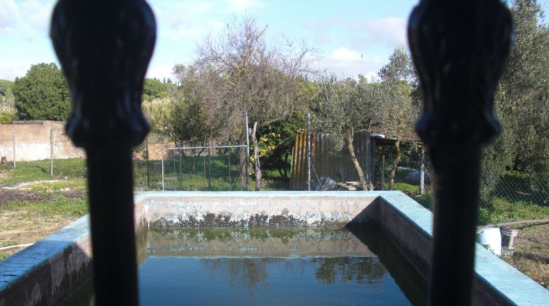 Cádiz - Vejer de la Frontera - 10000m2