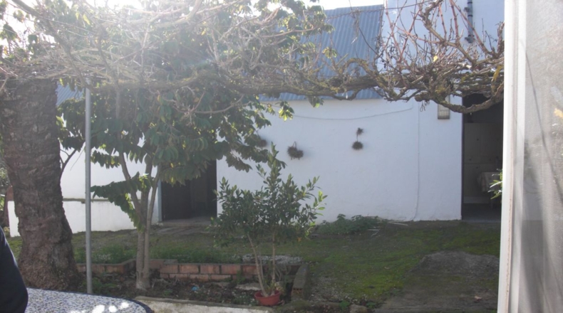 Cádiz - Vejer de la Frontera - 10000m2
