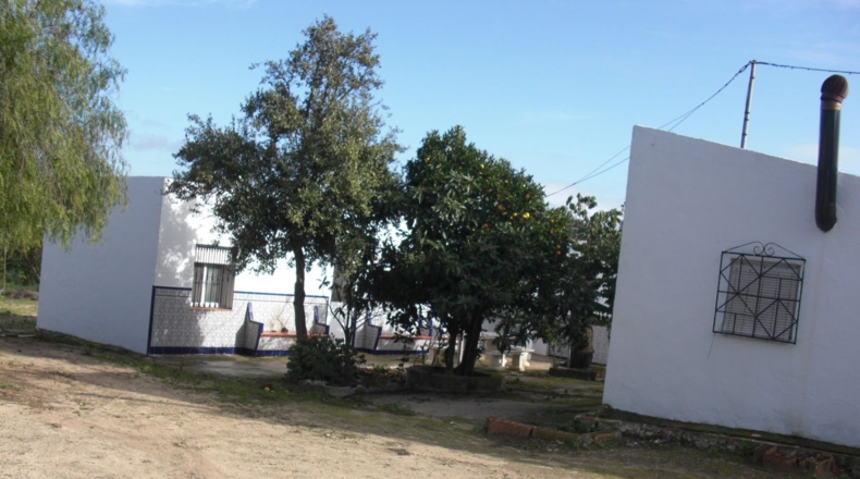 Cádiz - Vejer de la Frontera - 10000m2