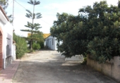 Земельный участок на продажу в городе Vejer de la Frontera. Фото