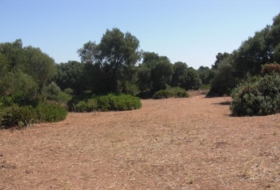 Vejer de la Frontera 0&nbsp;m² 